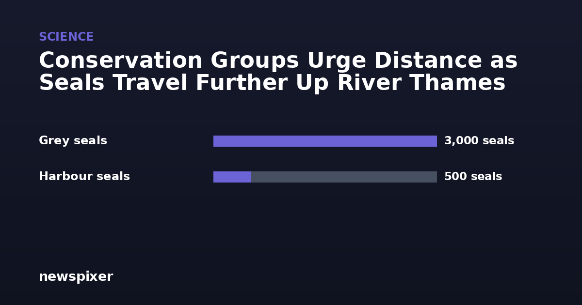 Conservation Groups Urge Distance as Seals Travel Further Up River Thames — Grey seals 3,000 seals, Harbour seals 500 seals
